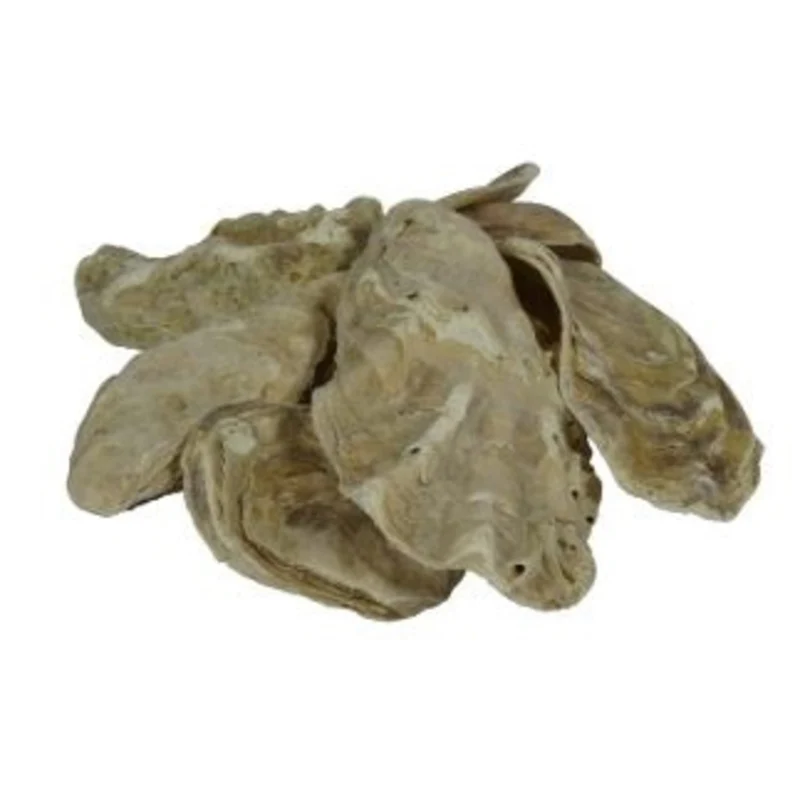 Air Aqua Oesterschelpen 5 kg - Natuurlijke KH- en pH-buffer voor vijverfilters