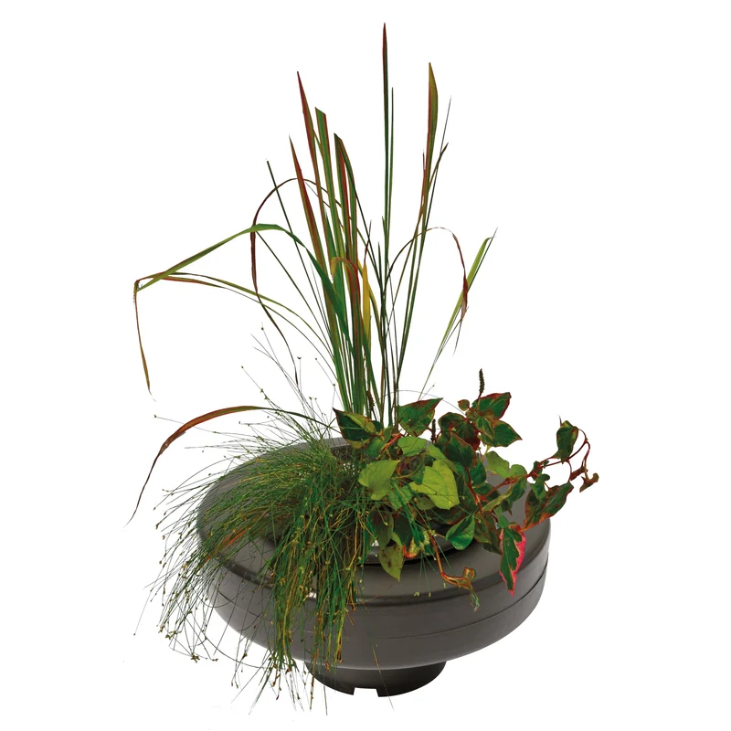 Superfish Floating Plant Basket 30cm - drijvende plantenmand voor vijverplanten