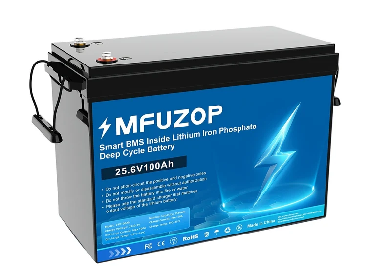 LiFePO4 Accu – Lithium Batterij – Camper Accu – Boot Accu – Zonne-energie Accu – 25,6V 100Ah – 100A BMS Bescherming – Lichtgewicht & Duurzaam