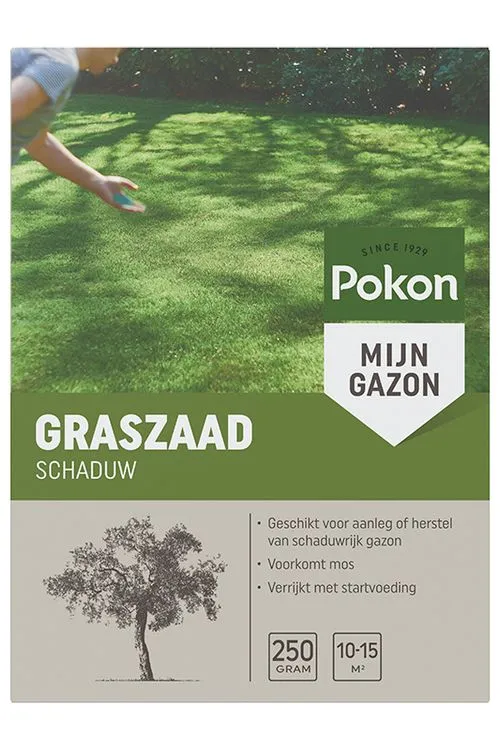 Pokon Schaduw graszaad 250gr