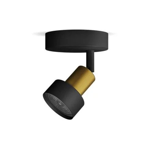 Philips opbouwspot Conduit zwart, messing