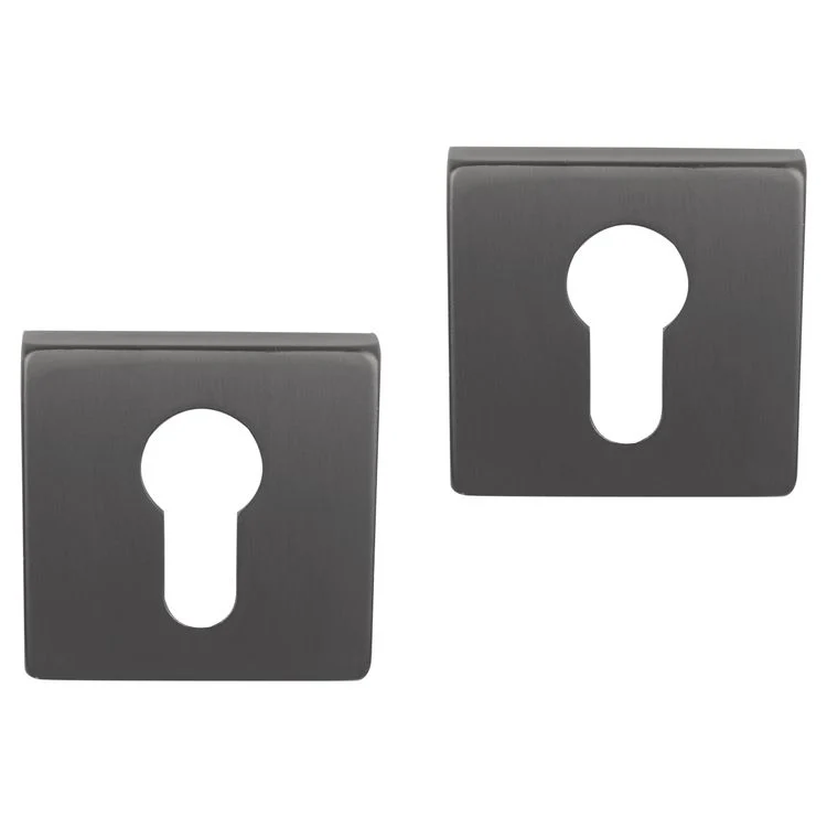 Differnz rozet met profielcilindergat gun metal vierkant RVS 2st