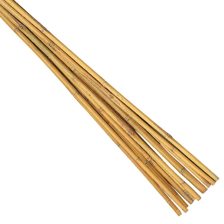 Talen bamboestok 60cm 10st