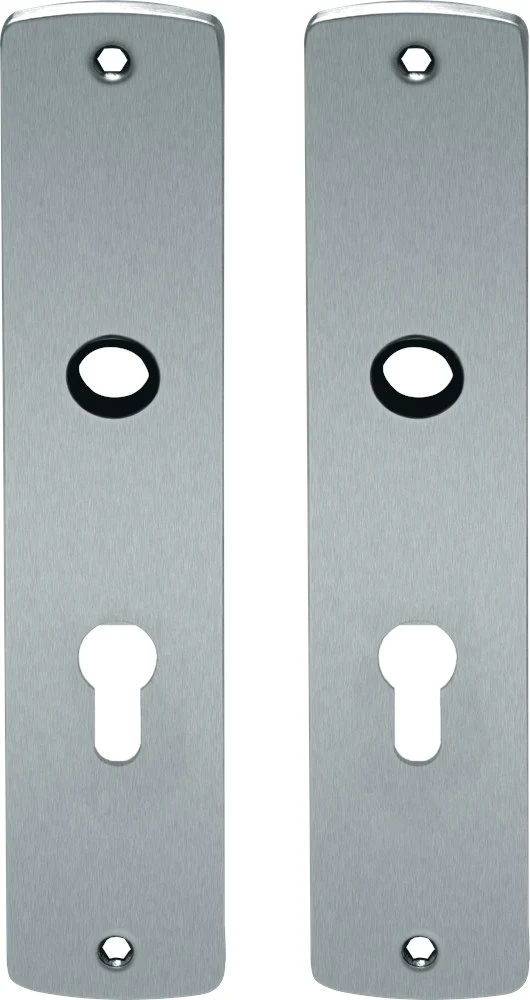 Oxloc RENOVATIESCHILD PC55 254X50MM RVS MAT