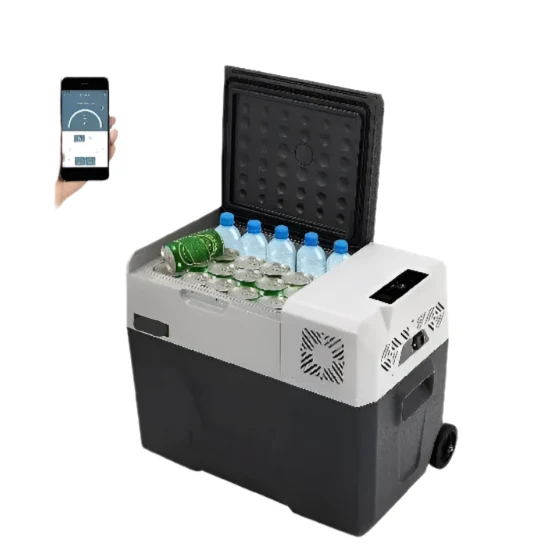 Autokoelkast - Koelbox - Elektrische Koelbox - Compressorkoelkast - 45L - 12V/24V - Draagbare - Mini Koelkast met Wielen en Uitschuifbare Handgreep - Kleine Koelkast - Koelvriesbox - voor Auto, Camper, Camping en Buitenavonturen