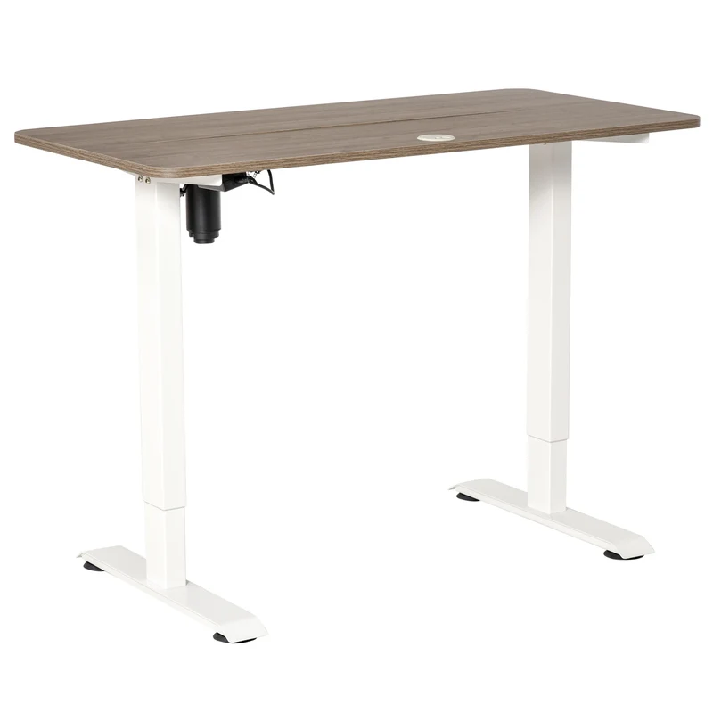 Verstelbare Bureautafel – Elektrisch Bureau – Zit Sta Bureau – Hoogte Verstelbaar – 4 Geheugenstanden – 120 x 60 x 116 cm