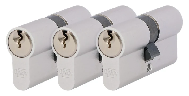 Oxloc PROFIELCILINDER DUBBEL M/N.30/30 GLS P/3