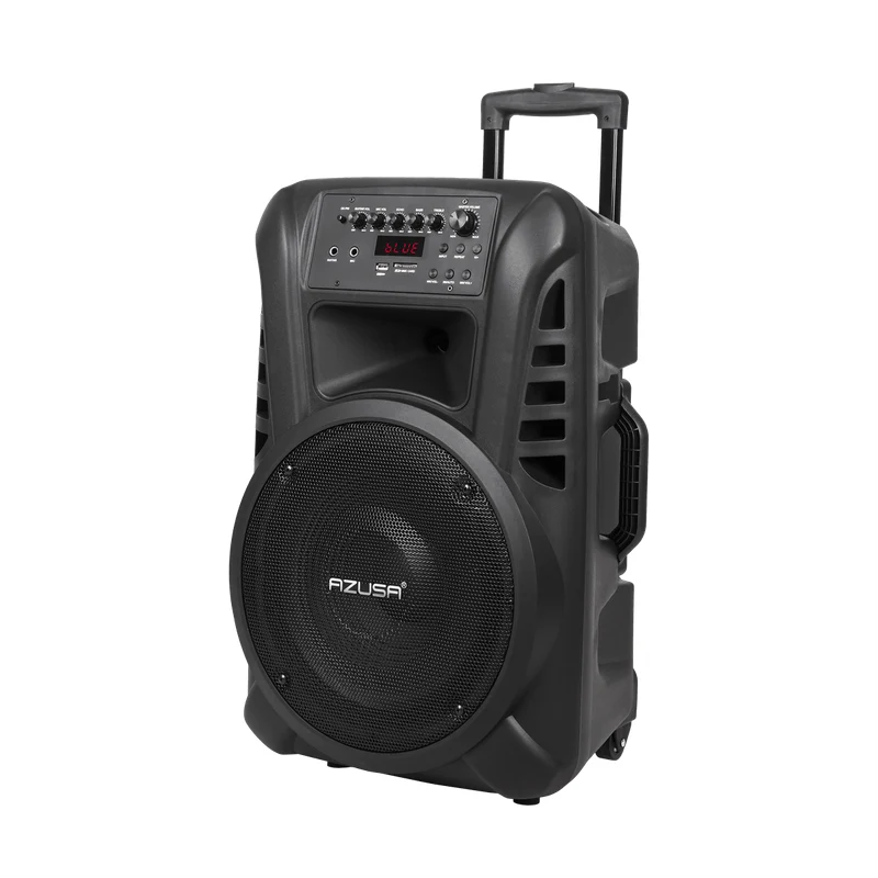 Draadloze Microfoonset – Actieve Speaker – Bluetooth Speaker – Karaoke Microfoon – Presentatie Microfoon – 12 Inch Woofer – 40W Vermogen