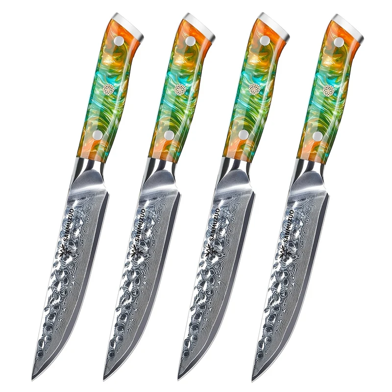 Steakmes – Steakmessen – Keukenmes – Vleesmessen – Set Van 4 – VG10 Damascus Staal – 12,7 cm Lemmet