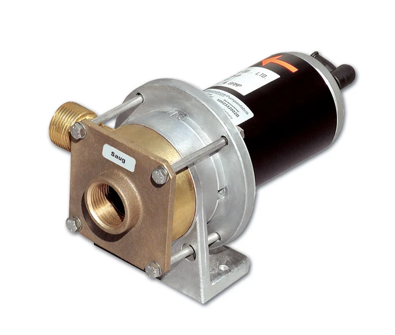 Rheinstrom dekwaspomp Z60 12V brons