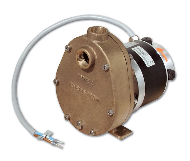 Rheinstrom dekwaspomp 4E 12V brons
