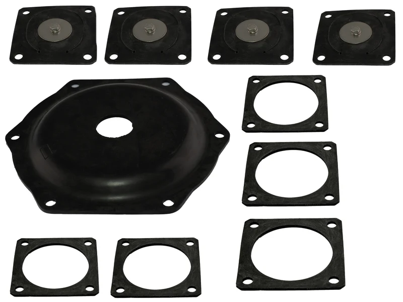 Rheinstrom reparatieset Standard tbv M60DV