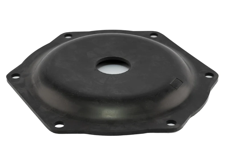 Rheinstrom membraan tbv M60 pomp